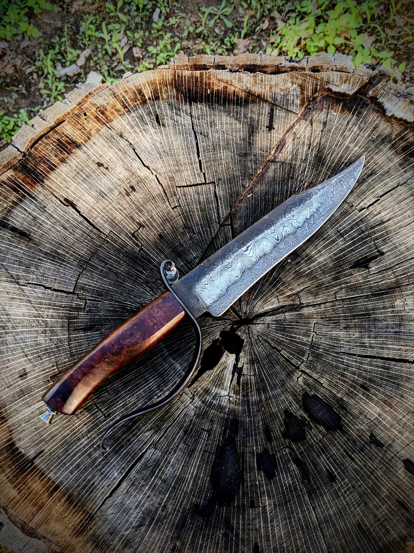 Damascus Recurve Bowie